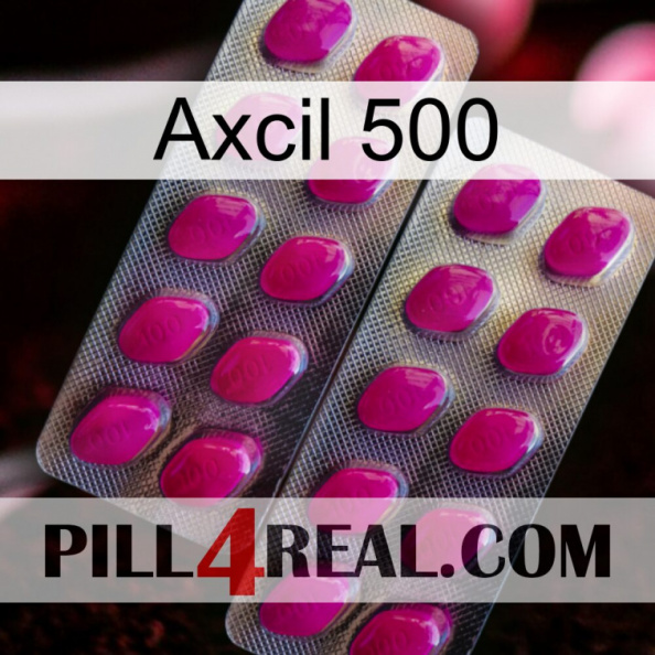 Axcil 500 10.jpg